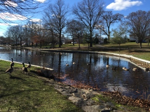 Hall's Pond, Long Island, NY